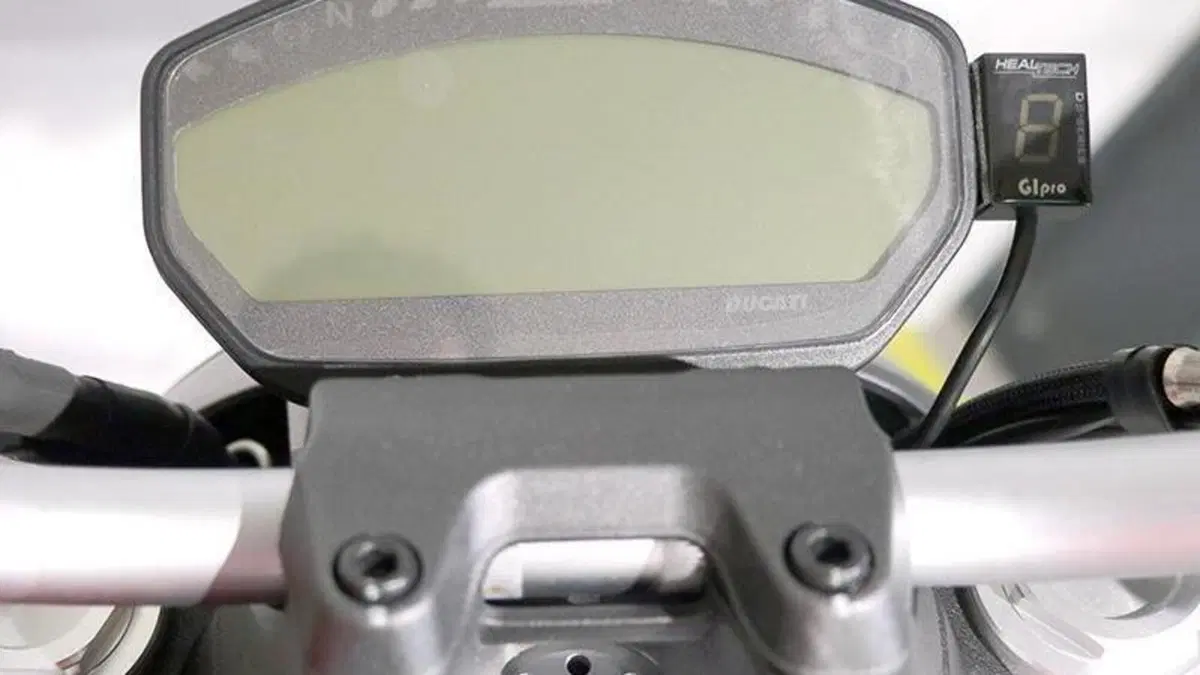 Ducati Monster 821 ABS (2014 - 17)  (3)