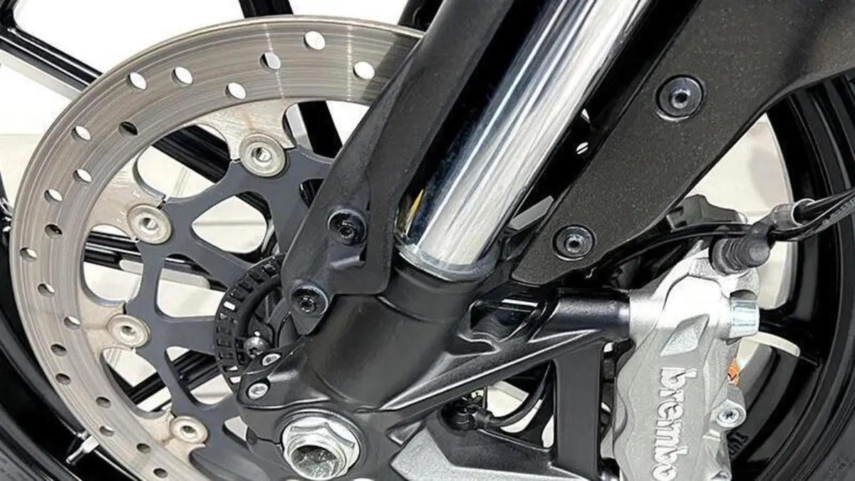 Ducati Scrambler 800 Icon (2021 - 22)  (4)