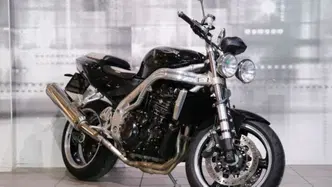 Triumph Speed Triple 955 (2002 - 04) usata