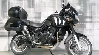 Triumph Tiger 955 (2002 - 06) usata