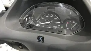 Peugeot SV 250 (2002 - 04)  (5)