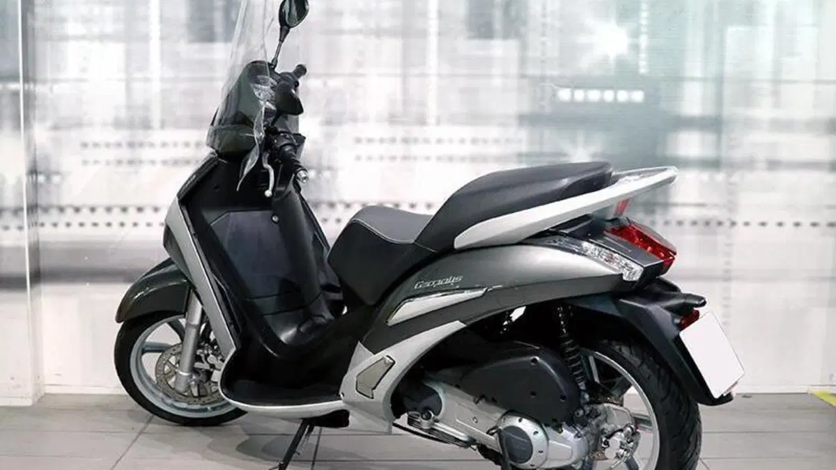 Peugeot Geopolis 300 (2010 - 13)  (2)