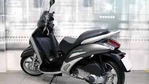 Peugeot Geopolis 300 (2010 - 13)  (2)