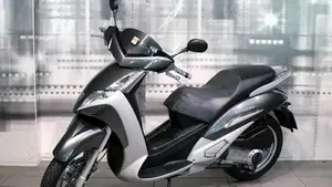 Peugeot Geopolis 300 (2010 - 13)  (5)