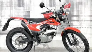 Montesa 4 Ride 260 (2022 - 24) 