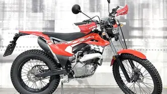 Montesa 4 Ride 260 (2022 - 24) usata