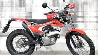 Montesa 4 Ride 260 (2022 - 24) usata