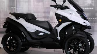 Quadro Qooder 400 (2018 - 19) usata