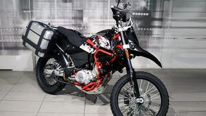 Swm Superdual 600 X (2018 - 20) 