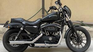 Harley-Davidson 883 Iron (2014 - 16) - XL 883N 