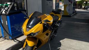 Triumph Daytona 675 (2006 - 08) 