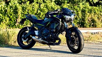 Kawasaki Z 650 (2021 - 24)