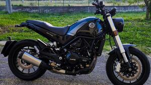Benelli Leoncino 500 (2021 - 25) 