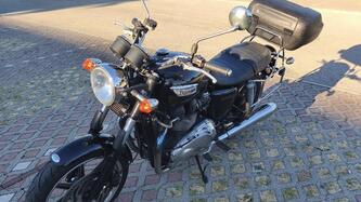 Triumph Bonneville SE (2009 - 13) usata