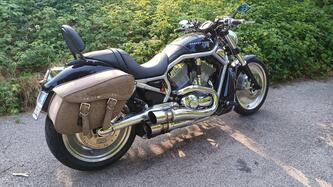 Harley-Davidson 1130 V-Rod (2002 - 05) - VRSCA