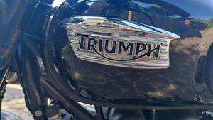 Triumph Bonneville T100 (2008 - 16) 