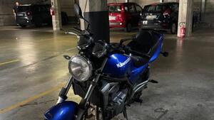 Kawasaki ER-5 500 (2001 - 06) 