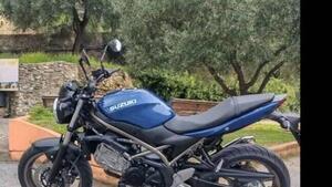 Suzuki SV650 (2021 - 24) 