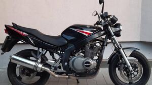 Suzuki GS 500 (2001 - 06) 