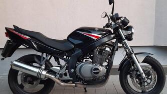 Suzuki GS 500 (2001 - 06) usata