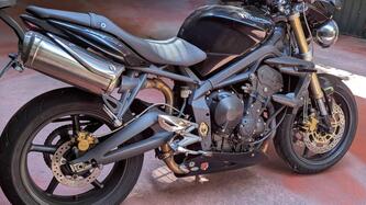 Triumph Street Triple (2007 - 12) usata