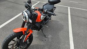 Ducati Scrambler 800 Icon (2017 - 20) 