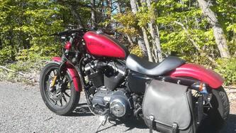 Harley-Davidson 883 Iron (2012 - 14) - XL 883N usata