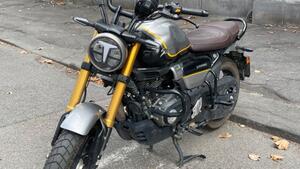 TVS Motor Ronin 250 (2024 - 25) 