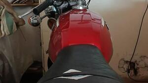 Morini  