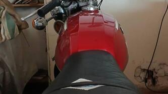 Morini 