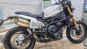 Benelli Leoncino 800 Trail (2022 - 25) 