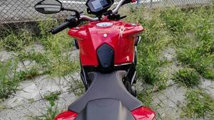 MV Agusta Brutale 800 R (2023 - 25) 