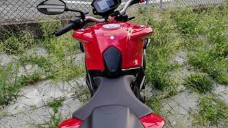 MV Agusta Brutale 800 R (2023 - 25) usata