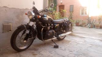 Triumph Bonneville 800 (2002 - 07) usata