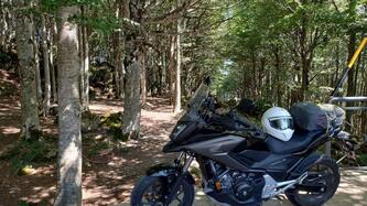 Honda NC 750 X DCT ABS (2018 - 20) usata