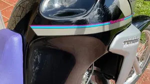 Yamaha   (7)