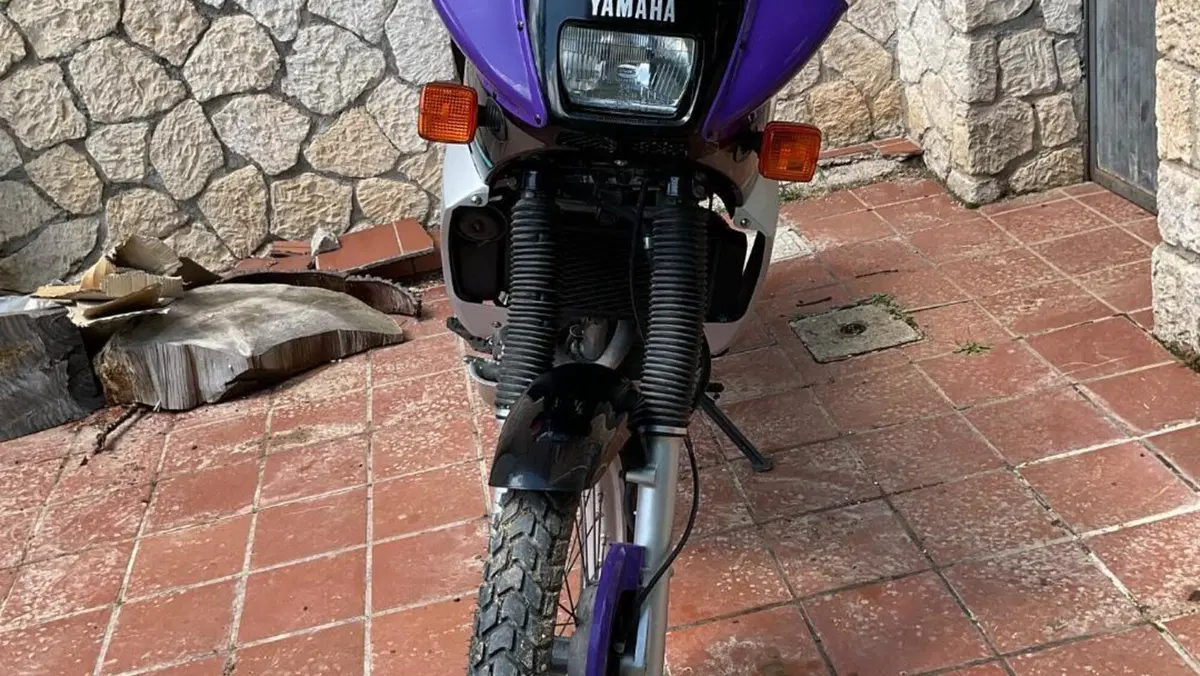Yamaha   (14)