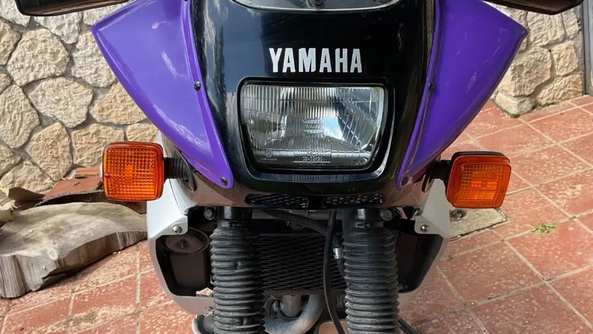 Yamaha   (17)