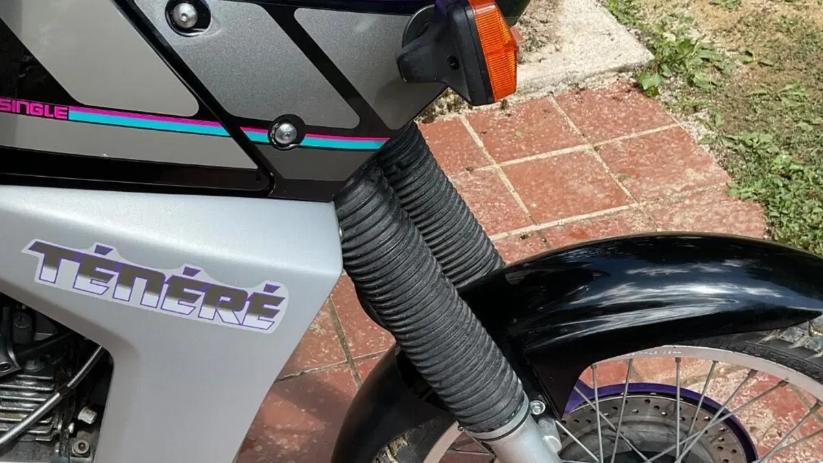 Yamaha   (19)