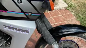 Yamaha   (19)