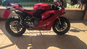 Ducati Panigale V2 (2025) usata