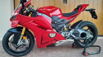Ducati Panigale V4 S (2025) usata