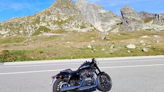 Harley-Davidson 1200 Roadster (2017 - 20) - XL 1200R usata