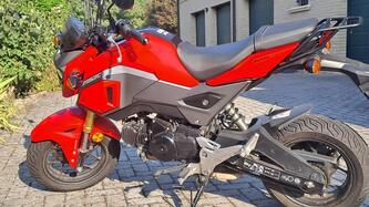 Honda MSX 125 (2016 - 17)