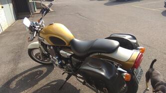 Triumph Adventurer 900 usata