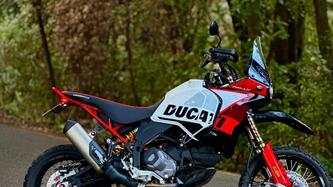 Ducati DesertX Rally (2024 - 25)