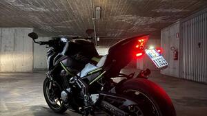 Kawasaki Z 900 Performance (2019) 