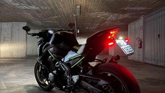 Kawasaki Z 900 Performance (2019)