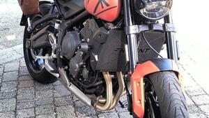 Triumph Trident 660 (2021 - 24) 