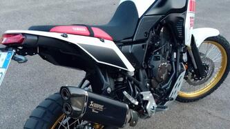 Yamaha Ténéré 700 Rally Edition (2022 - 24)